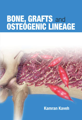 Bone, Grafts and Osteogenic Lineage